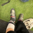 썬마트 | [에덴밸리 렌탈 VS 사설 렌탈] 에덴밸리 꿀팁,점빵스키,저렴하게 가는 법,금액 가격,주차,준비물까지
