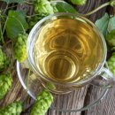 홉스(HOPS) 티스토리