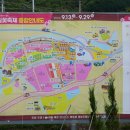 메밀꽃 화장실 | 9월 10월 하동 여행 추천, 북천 코스모스 메밀꽃 축제 후기!(ft. 주차장)