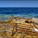 은지농장 이미지