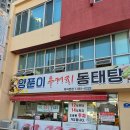 동태별곡 우거지동태탕 | [인천/학익동] 양푼이 우거지 동태탕 학익본점 내돈내산 후기