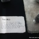 성균관대학교 생활과학대학원 이미지