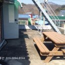 덕산면041 Daum카페