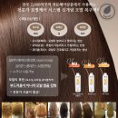 볼륨헤어살롱