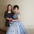 해피트리요양원 Daum카페
