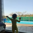 반딧불 당구장 이미지