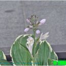 퇴계로2 네이버블로그