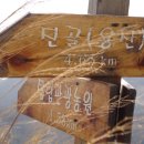 임회주유소 Daum카페