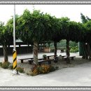 신평중학교 이미지