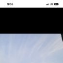 모글리하우스 이미지