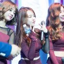 미스터비어 Daum카페