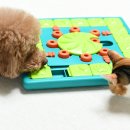 고양이 강아지 노즈워크 장난감 니나오토슨 4단계