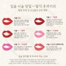 바나나브로우