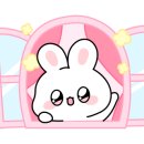 듀 포인트 이미지