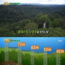 웰컴캐노피 이미지