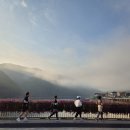 영사이언스 이미지