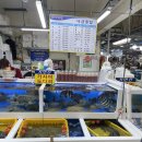 활어회대게 도매센타 이미지