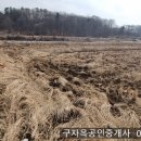 선원면-7 이미지