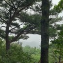 수리산 임도오거리 화장실 이미지