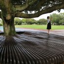 선흘 그곳 이미지