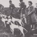 캡틴 켄넬 이미지