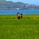 꽃피는날 이미지