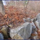 외방로135번길 이미지