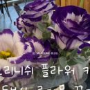 위니비니 롯데아울렛동부산점