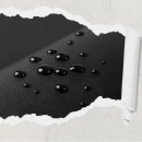 Lee 휘트니스 이미지