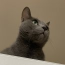 은정돼지부속구이 혁신점 이미지