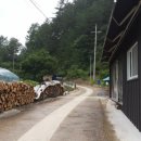 꽃내풀네 이미지