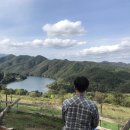 고탄막국수 이미지