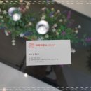 퍼피하우스 인천송도점 네이버블로그