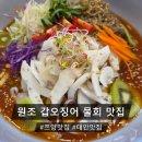 선창회가든 | ♪[선창횟집 태안본점] 숨은 보물 같은 원조 갑오징어 물회 맛집! 태안 13년 연속 블루리본✨