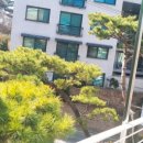 이조옛날통닭 이미지