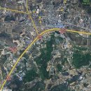 사강시장 이미지