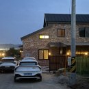 나무들의 수다 이미지