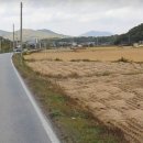 태산농장2 이미지