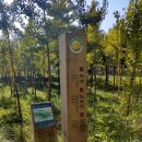 박물관로 이미지