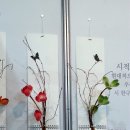 엔티씨 | 메가쇼 방문후기.. 초스피드 관람, 효성어묵