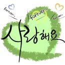 내를건너서숲으로도서관 이미지