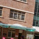 감정초병설유치원 이미지