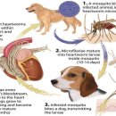 도래울로 이미지