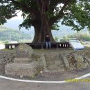 유계초등학교 이미지