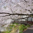 낙동강변2 이미지