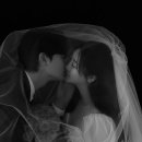 모어스