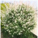 등불농장 이미지