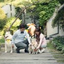 직접만든 가렌드 들고 강아지들과 함께한 야외셀프촬영^^(1탄) 이미지