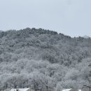 솔빛숲유치원 이미지