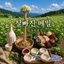 스페이스 한강 | 빠져도 너무 잘 빠진 합정맛집 잘빠진메밀 합정직영점 합정보쌈 트러플막국수 맛집 합정역점심